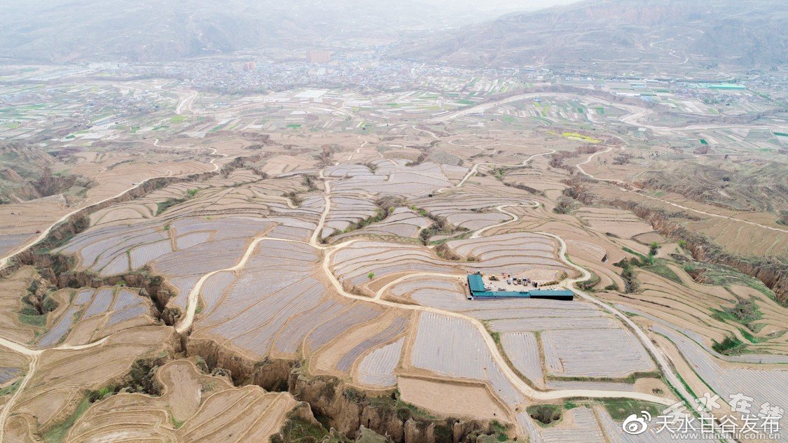 dy业务在线下单平台：数字化订单解决方案助力业务增长_梓豪ks业务低价自助下单平台