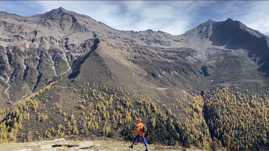 抖音业务自助下单app安卓版